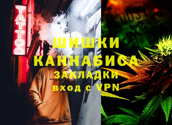 МДПВ Алексин