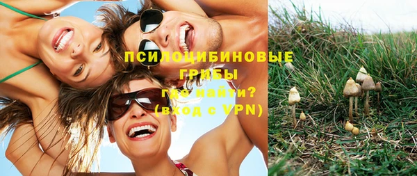 каннабис Алексеевка