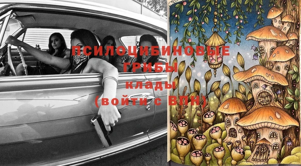 МДПВ Алексин