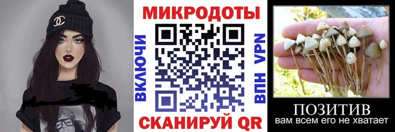 mega как зайти Находка Псилоцибиновые грибы Psilocybine cubensis