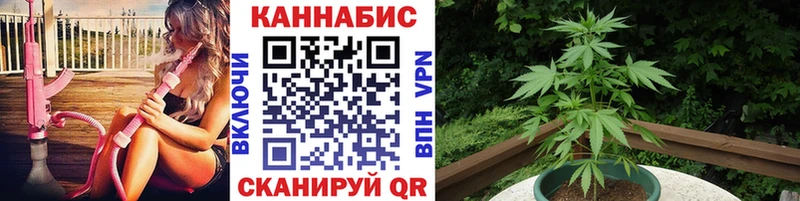 сайты даркнета какой сайт  Находка  мега ТОР  Бошки Шишки SATIVA & INDICA  что такое наркотик 